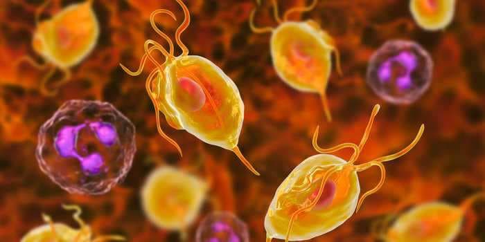 How to treat trichomoniasis: The sexually-transmitted parasite that infects 2 million people in the US