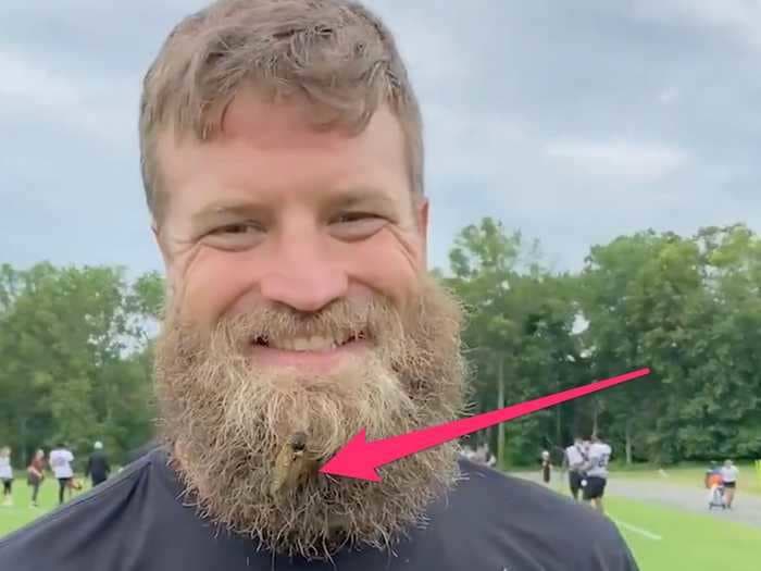 Washington Football Team quarterback Ryan Fitzpatrick got a cicada stuck in his bushy beard