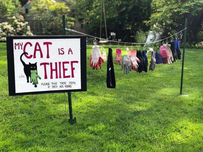 A woman's pet cat kept stealing from her neighbors, so she put up a 'My Cat Is a Thief' yard sign next to all the stolen goods