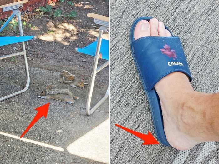 Photos show how the heat wave is impacting people in the Pacific Northwest and Canada - from shrinking their shoes to warping candles