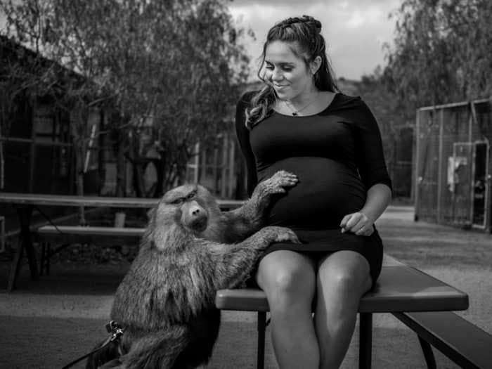 A pregnant woman posed with monkeys, a kangaroo, and more for an adorable maternity photo shoot