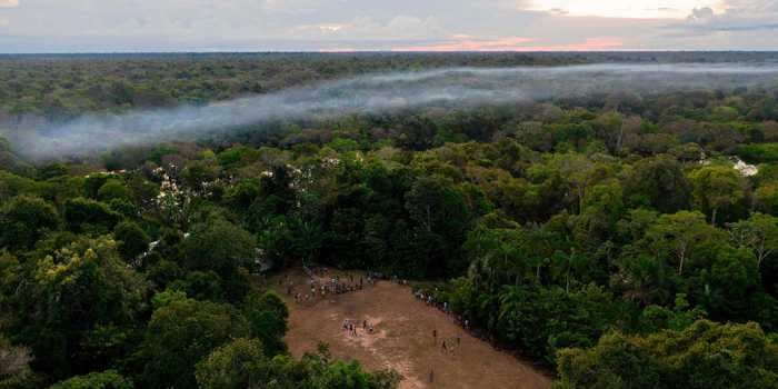 The Amazon rainforest is emitting more CO2 than it absorbs in some areas, according to a new study