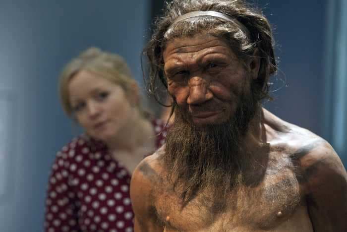 At most, just 7% of the human genome is unique to our species. We share most genes with Neanderthals, Denisovans, and other ancestors.