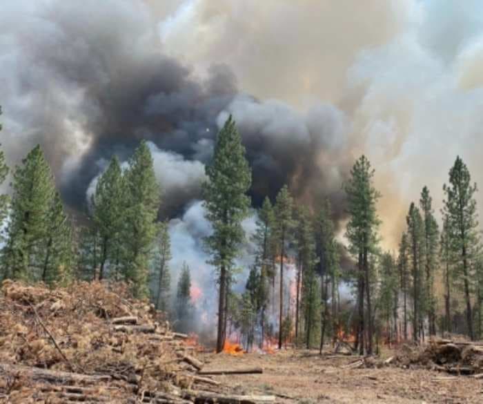 Oregon  Bootleg wildfire scorches area 1.5 times the size of New York City, destroyed 160 homes and 117 buildings so far