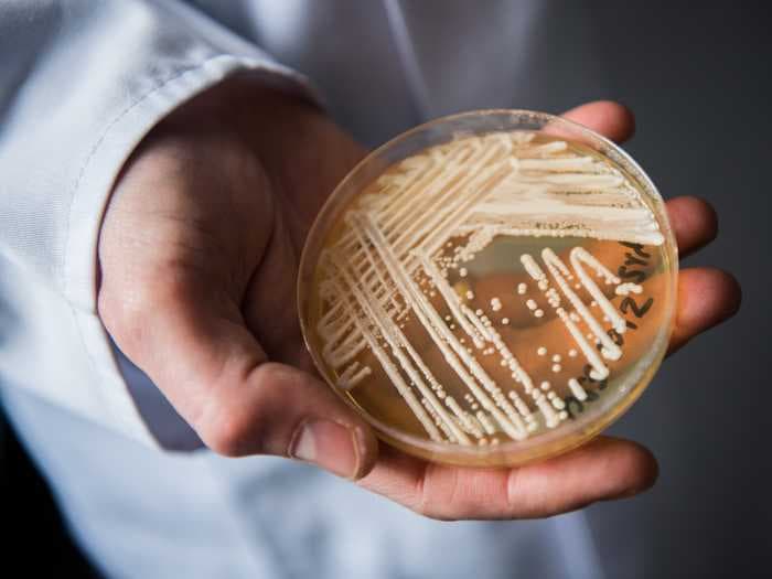 Untreatable 'superbug' fungus that resists all drugs detected in Texas and DC