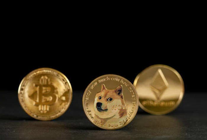 Dogecoin Foundation’s new advisory board includes Ethereum co-founder Buterin and Elon Musk’s representative Birchall