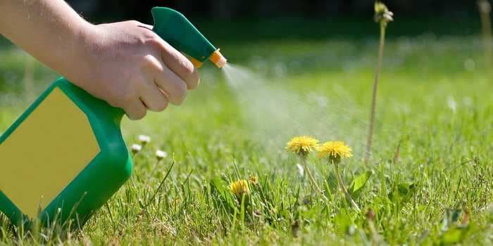 How to make homemade weed killer out of 3 household ingredients