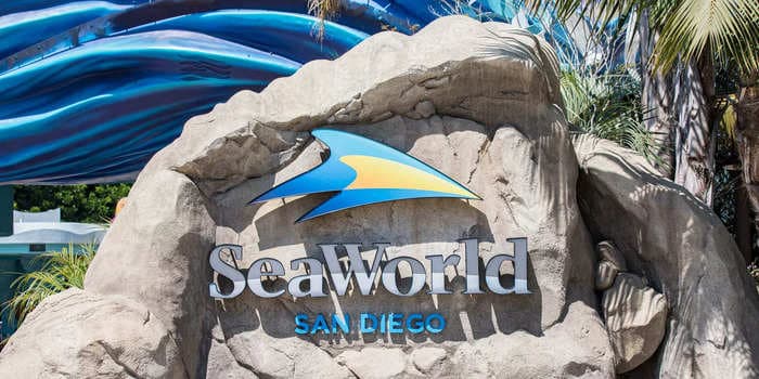 SeaWorld San Diego's youngest orca has died from a sudden illness