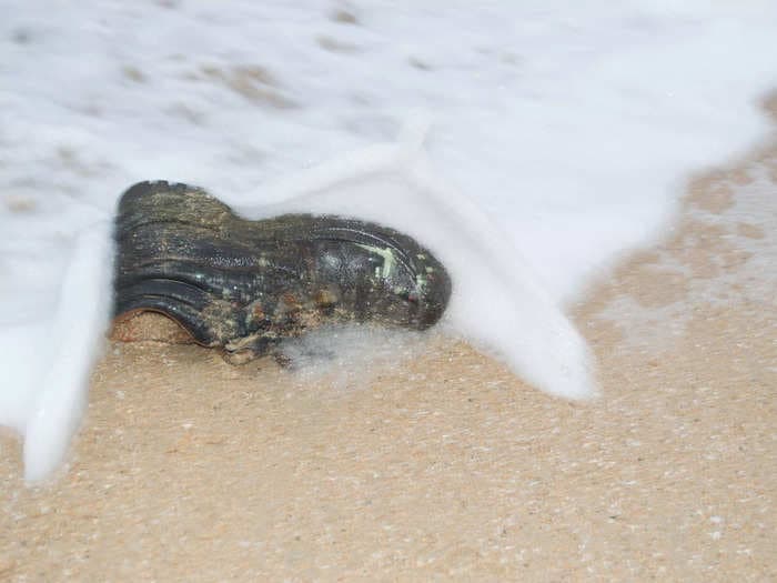TikTok doctor explains why sneakers filled with human feet keep washing up on beaches in the Pacific Northwest