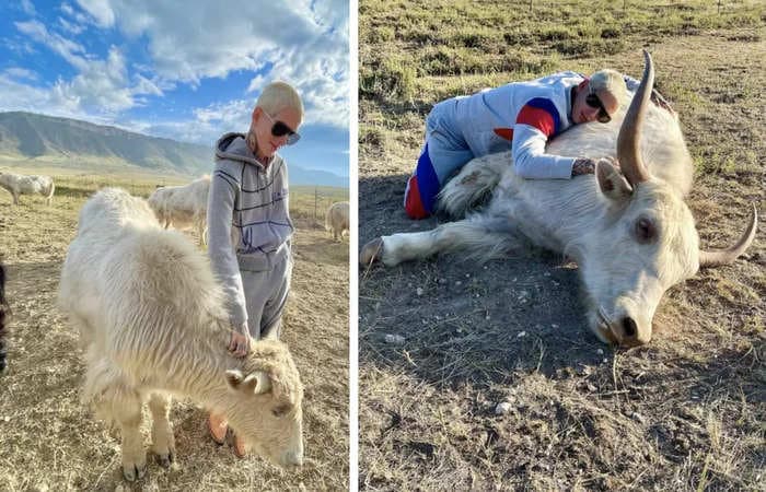 Jeffree Star raises yaks on a ranch in small-town Wyoming after leaving his life of luxury in Los Angeles