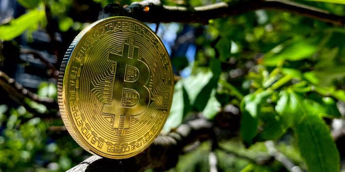 A Canadian bitcoin ETF aims to offset its climate impact by planting trees to become the 1st carbon-negative investment fund