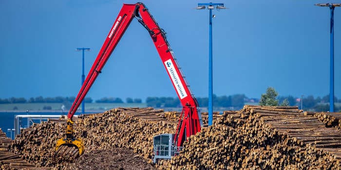 3 reasons why lumber prices will tumble 30% by year end, according to a veteran portfolio manager