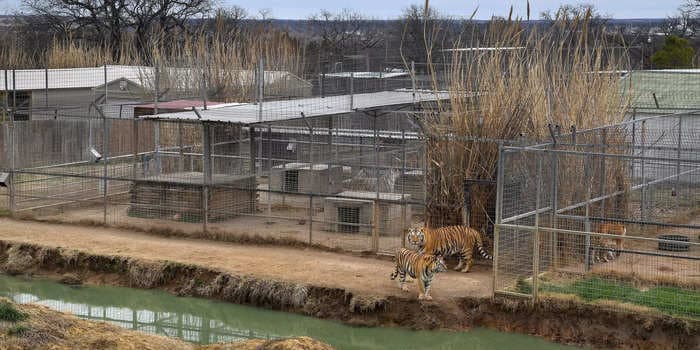 A head zookeeper who worked for 'Tiger King' star Joe Exotic was found dead, reports say