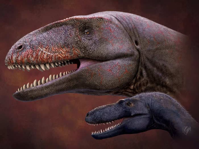 Scientists discovered a 26-foot-long dinosaur with shark-like teeth that ruled the food chain before the T. rex