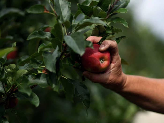 A Massachusetts farm apologized after falsely accusing a Black couple of stealing 6 apples and calling the police on them