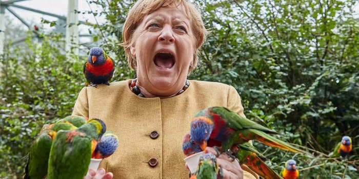 Angela Merkel visited a bird park, where a Australian rainbow lorikeet bit her: photos