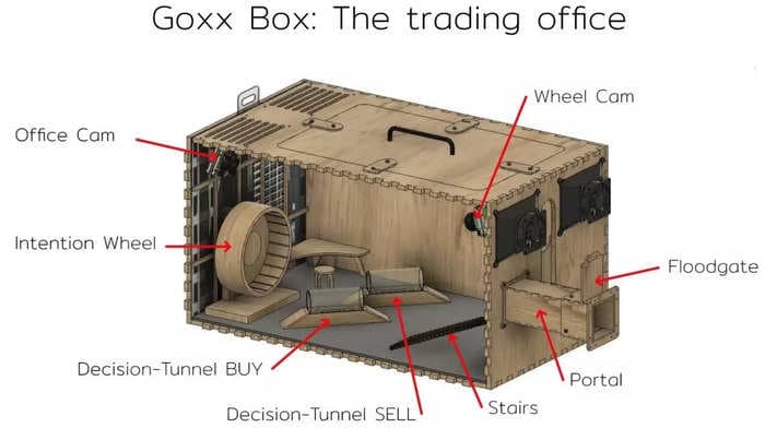 A hamster has been trading cryptocurrencies in a cage rigged to automatically buy and sell tokens since June - and it's currently outperforming the S&P 500