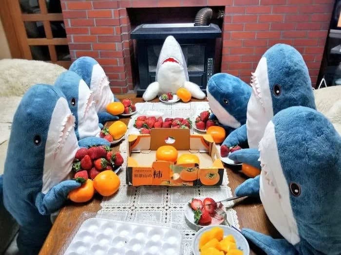 Ikea is discontinuing an $18 blue shark stuffed animal, and it sent Chinese social media into a total meltdown