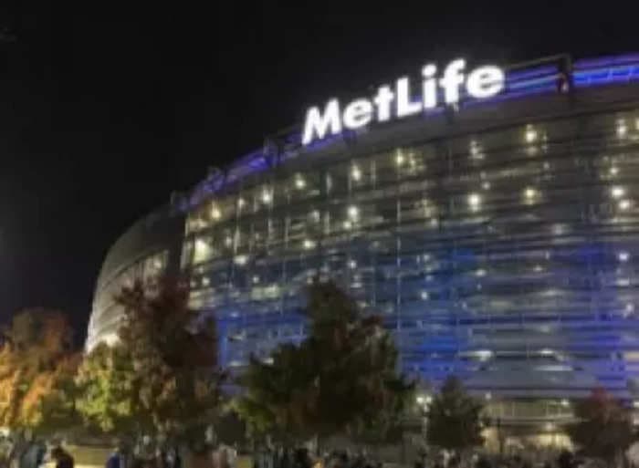 MetLife acquire stakes of Elpro and IGE's in PNB MetLife for ₹1,906 crore