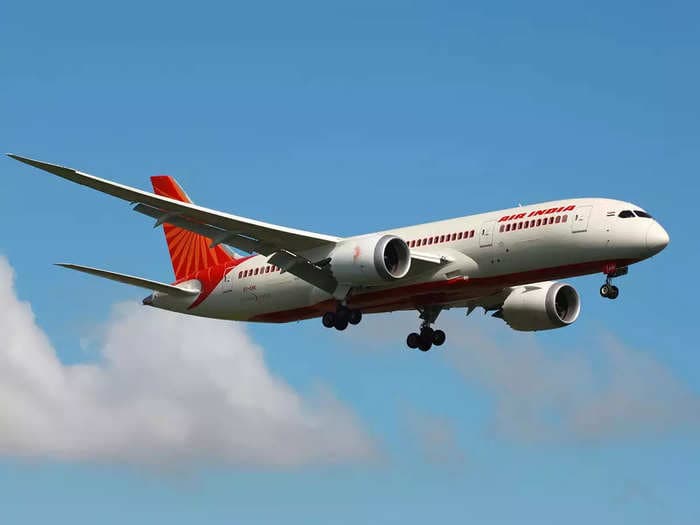 'We want to finish the handover quickly, because we are paying ₹20 crore a day to run the airline,' says DIPAM Secretary on privatisation of Air India