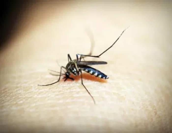 Lucknow records 26 new dengue cases in last 24 hours