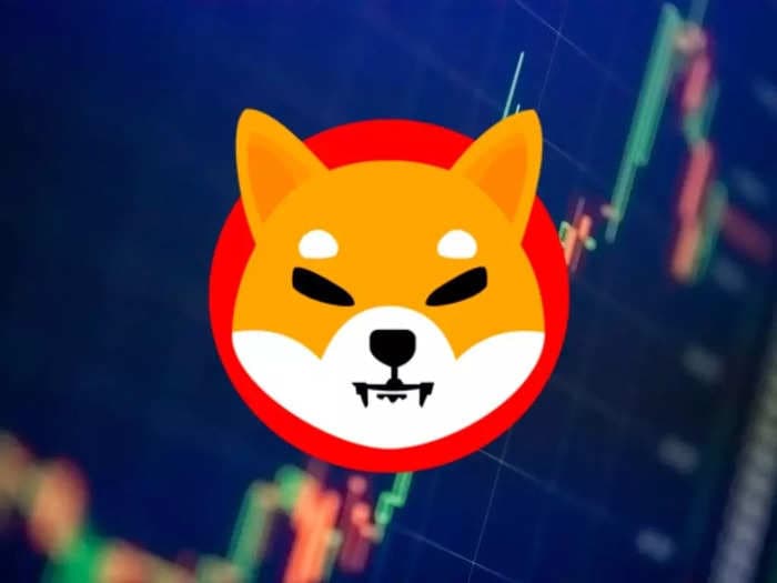 Shiba Inu hits another all-time-high — now more valuable than Adani Enterprises, Tata Steel and Tech Mahindra