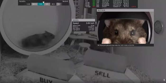 Crypto trading hamster update: New rig, more money, and continued outperformance