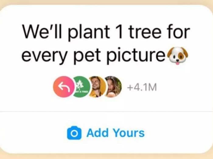 ‘We’ll plant 1 tree for every pet picture’ - What started as a sweet Instagram trend may end up being a scam