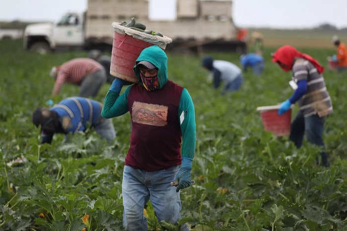 From farm to table, immigrant workers keep America fed, but Trump-era policies helped create a labor shortfall that is causing food prices to rise