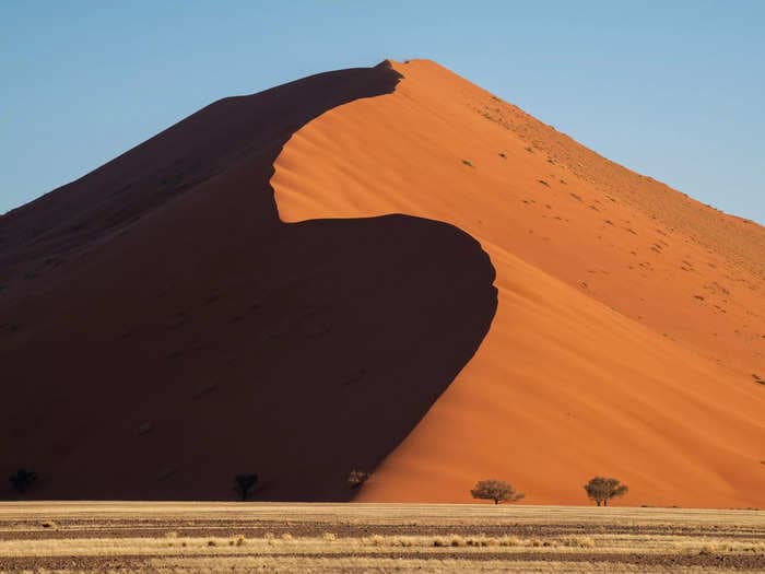 I photographed Namibia's remote desert after ultra rare rains transformed it into an oasis. It's a trip I'll never forget.