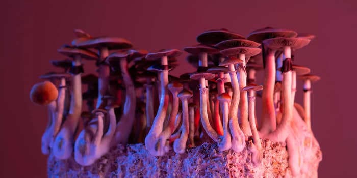 The benefits of microdosing mushrooms — what the research says