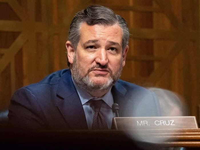 Ted Cruz's new e-book on Critical Race Theory argues that seeking equity in the US is really calling for 'discrimination' against white people