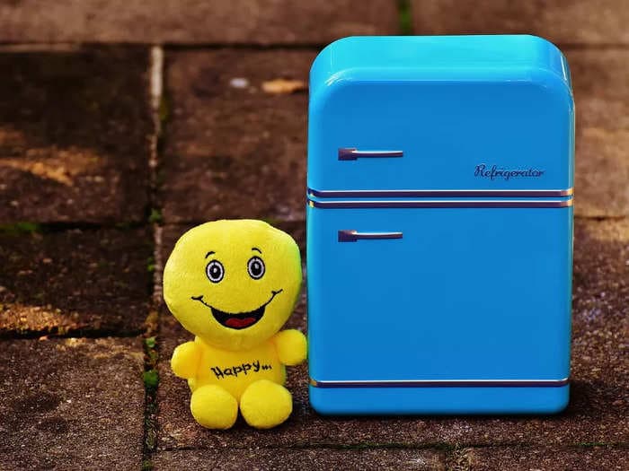 Mini fridge for storing refreshments at home