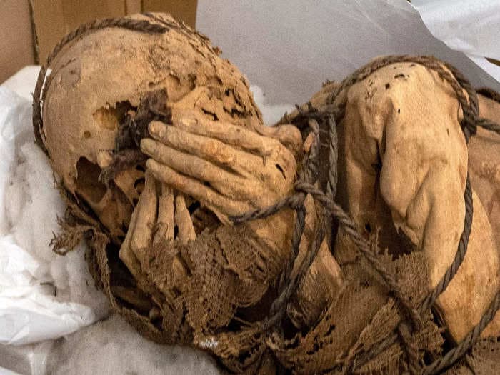 Scientists uncovered a mysterious pre-Inca mummy buried around 1,000 years ago, tied in fetal position with hands over its face