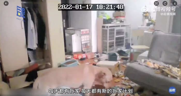 A Chinese woman stuck in a 14-day quarantine watched helplessly via a surveillance camera as her dog demolished her living room and wardrobe