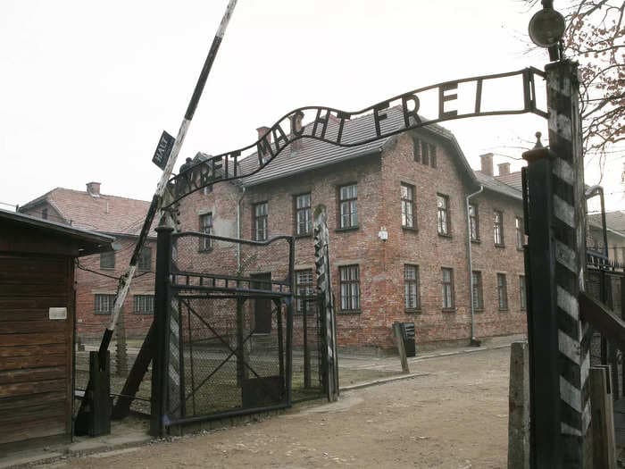 A Dutch tourist was detained at the Auschwitz Museum after making a Nazi salute for a photo as a 'stupid joke'