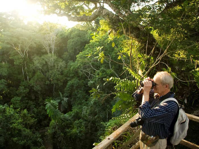 Scientists estimate 9,000 tree species are still unknown to them