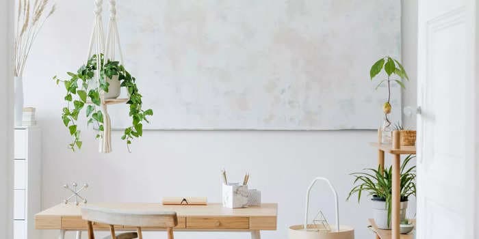 How to hang plants from the ceiling for a clutter-free, airy look