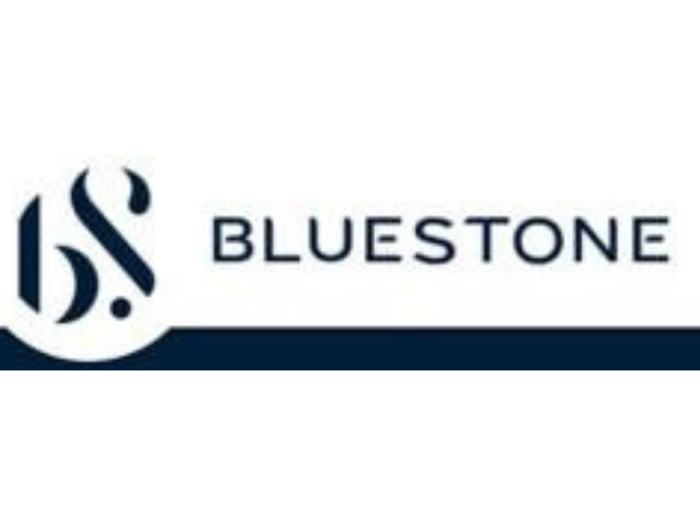 Online jewellery platform BlueStone to hire 400 people in the next 3-4 months
