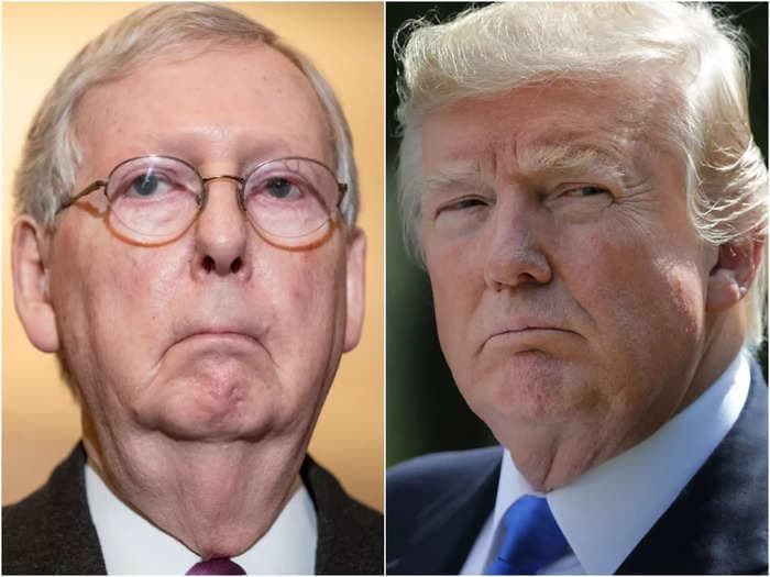 Mitch McConnell is working a behind-the-scenes campaign to make sure Trump-backed 'goofballs' don't win their primaries: report