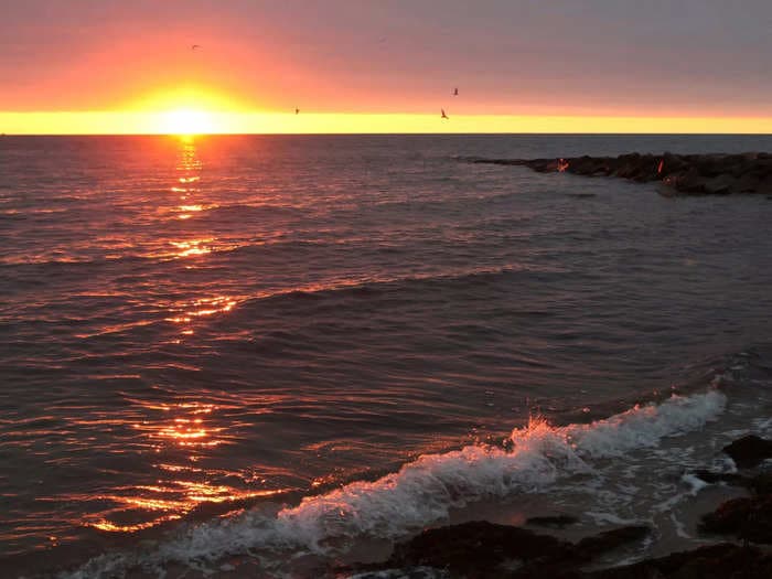 A woman who runs a 'love' school is campaigning for topless beaches in Nantucket