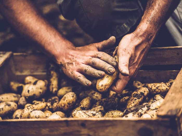 A Texas farm owned by one of the US' biggest potato growers paid over $1.3 million in back wages to workers after denying them overtime pay