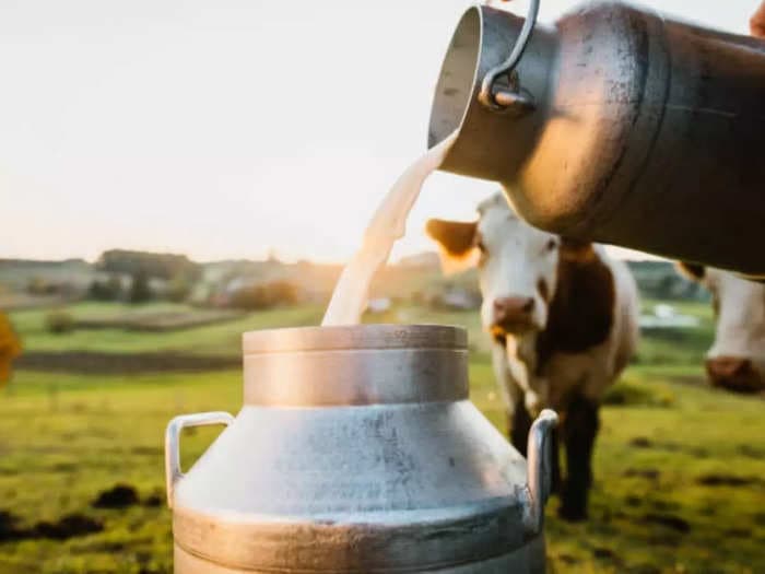 EXPLAINED: Why is your milk more expensive all of a sudden?