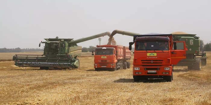 Wheat prices soar to trigger trading halt for 5th straight day, surging nearly 50% since Russia invaded the bread basket of Europe