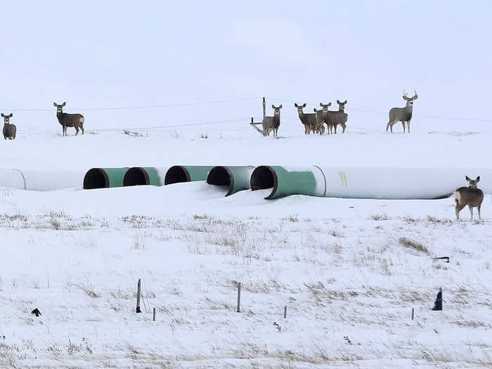 The premier of Alberta is pushing for the revival of the Trump-backed Keystone XL oil pipeline to replace Russian imports to the US