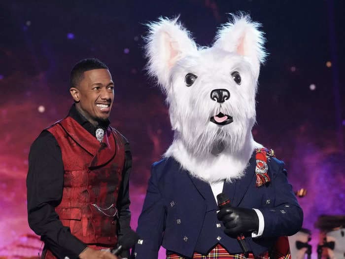 A contestant on 'The Masked Singer' was accidentally unmasked after the costume's head popped off when they nearly tripped and fell off the stage