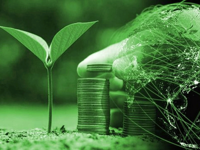 OPINION: India will likely witness a boom in the green economy and green finance! Are we prepared?