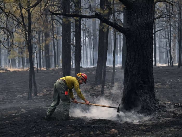 Despite sparking New Mexico's biggest-ever fire, experts say 'planned burns' are still best way to curb wildfires