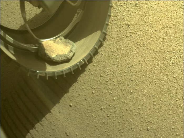 The Perseverance rover has a pet rock. NASA says it's breaking hitchhiking records.