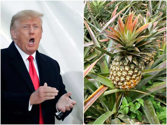 A Trump lawyer wants cash sanctions over fear-of-flying-fruit reveal &mdash; and lashes out at Daily Beast, Michael Cohen